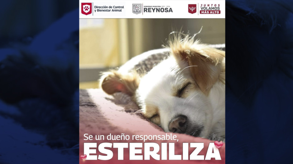 Garantiza Alcalde Carlos Peña Ortiz atención y protección animal
