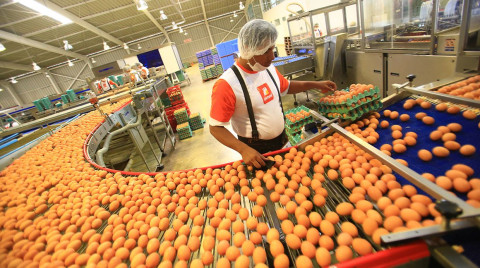 Se detectan convenios para manipular el precio del huevo