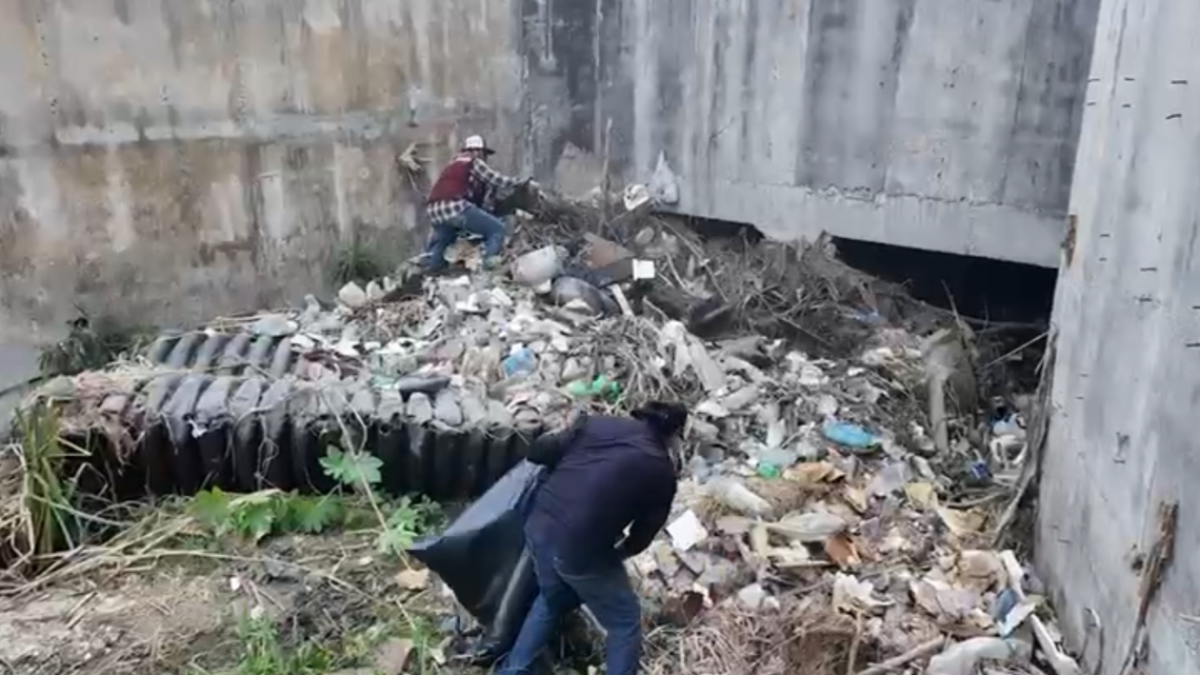 Gobierno de Reynosa inicia limpieza en Hacienda de las Bugambilias