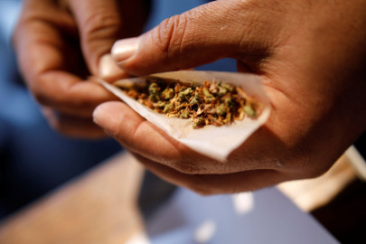 Declaran el 20 de abril como el día nacional de la marihuana 