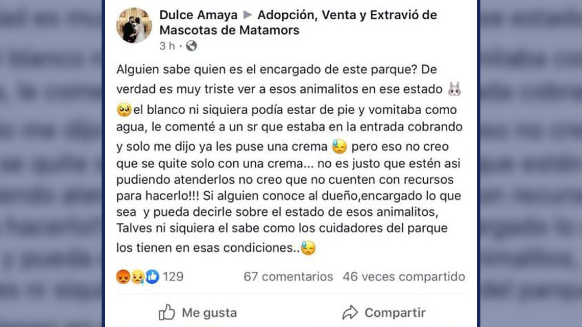 Denuncian a través de Facebook maltrato animal en el parque “Calmecac”