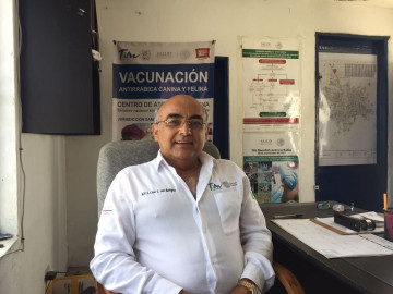 Altas temperaturas incrementan presencia de garrapatas