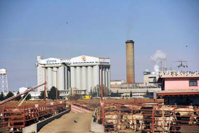 Modelo invertirá 900 mdp en Sonora