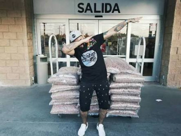 Aprovecha error de tienda, compra y dona a canes