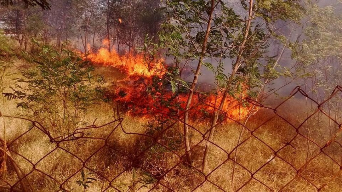 Incendio consume autos yonqueados 