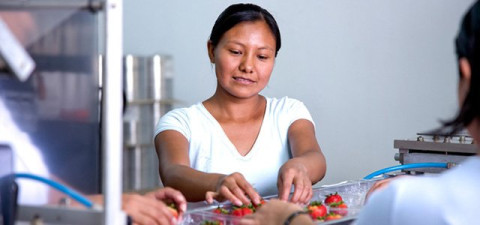 Programa 3x1 para Migrantes beneficia a mexicanos