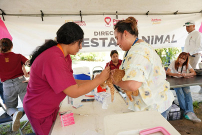 Consulta médica, vacunas para tus mascotas y trámites gratis en tu colonia con Presidencia Cerquita de Ti