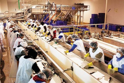 Inseguridad no ahuyenta a maquiladoras