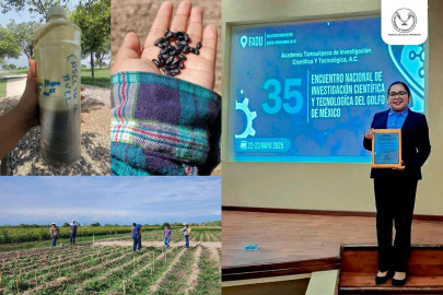 Elabora estudiante de la UAT bioherbicida para cultivos de frijol