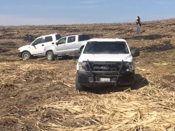 Van 33 cuerpos encontrados en fosas clandestinas en Nayarit