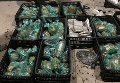Decomisan más de una tonelada de mariguana en Tamaulipas