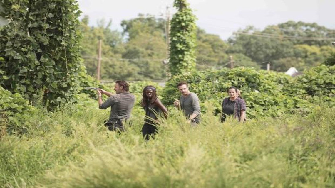 Primeras imágenes del regreso de TWD