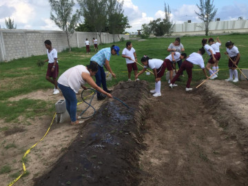 Desarrolla Dirección de Agricultura, Ganadería y Pesca el programa Huerto Saludable