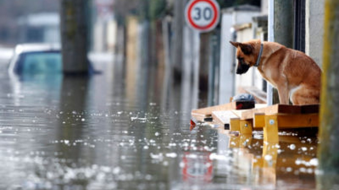 Inundaciones alertan a París por crecida del Sena