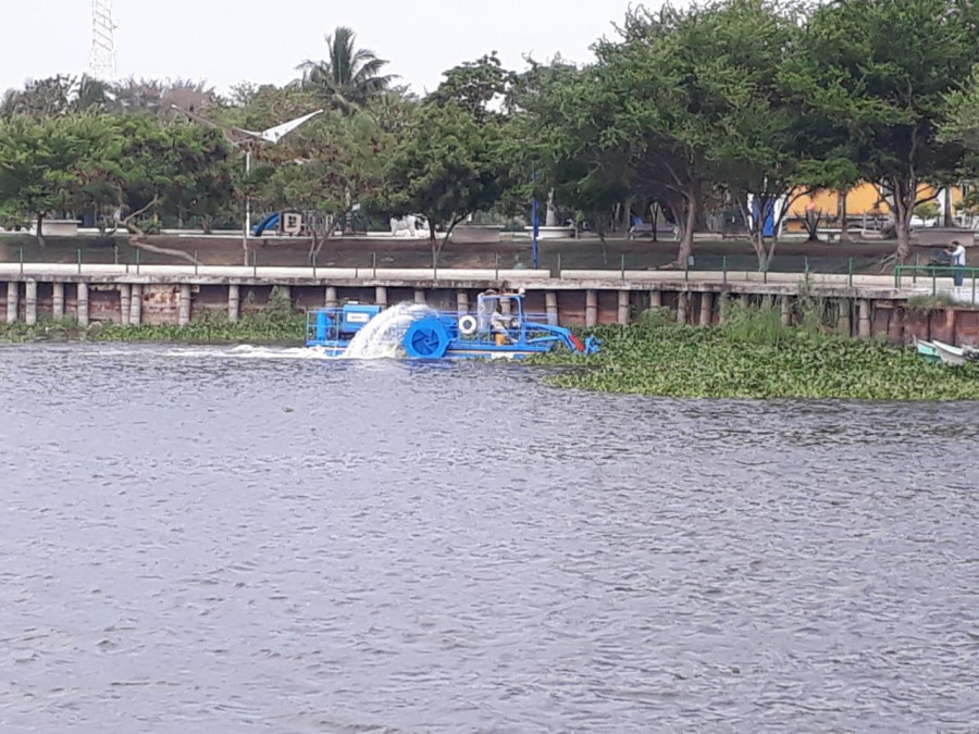 Continúan trabajos de limpieza de maleza acuática, en la laguna de champayan