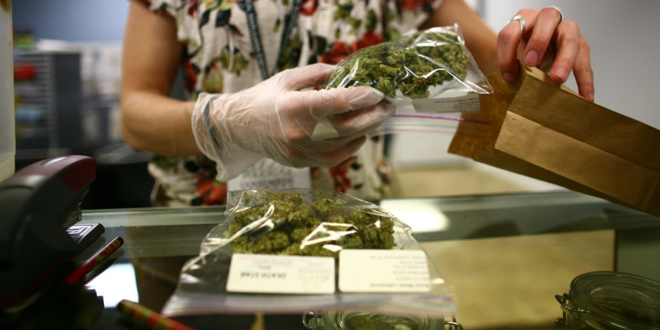 Universidad ofrece carrera en Marihuana