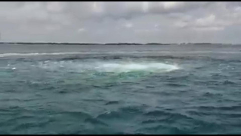 Se registra fuga de gas en Oleogasoducto 2 de Pemex