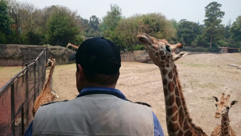 Sancionan a zoológico de Chapultepec 