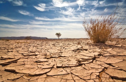 Aumentarán muertes por cambio climático