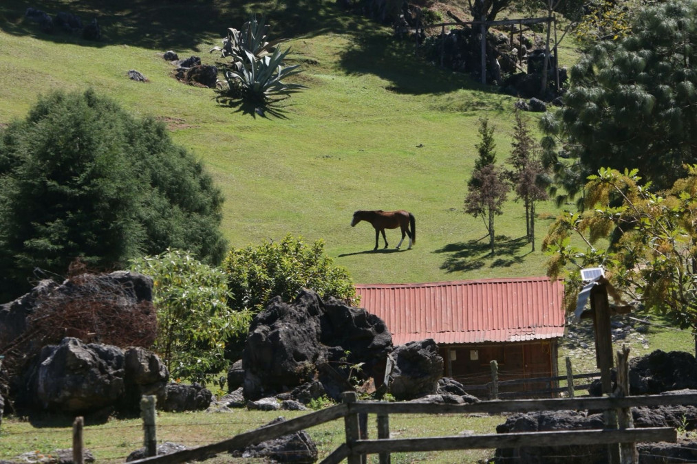 Reafirman compromiso por la biodiversidad en El Cielo