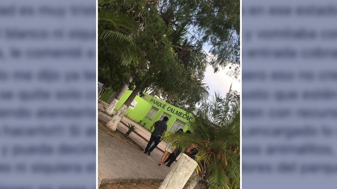 Denuncian a través de Facebook maltrato animal en el parque “Calmecac”