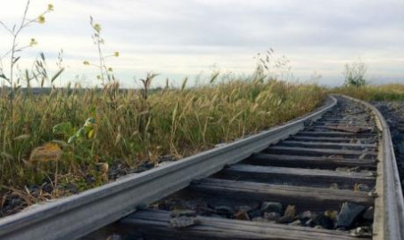 Arriesgan su vida al no rodear ferrocarril