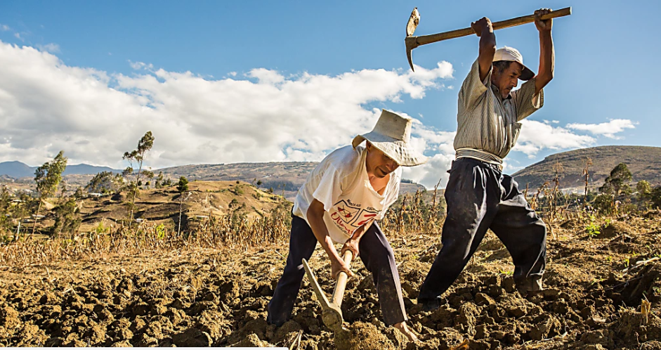México alimenta a Venezuela ante crisis