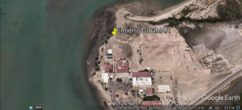 Restos de época prehispánica son hallados en playa El Conchalito