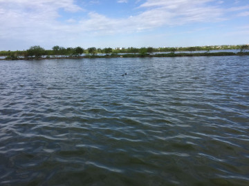 Analizan grado de contaminación de la laguna la escondida