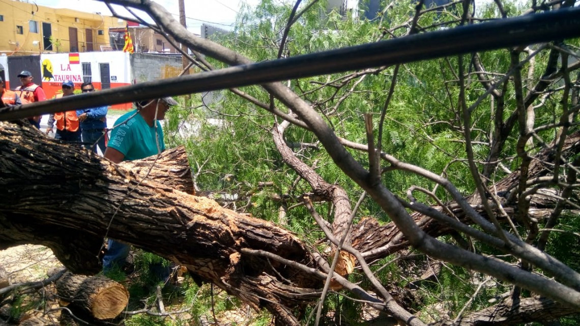 Retira Municipio ramas y cacharros de la vía pública