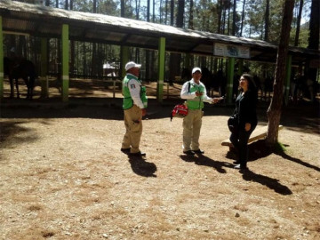 Se registran 6 sismos en Chiapas