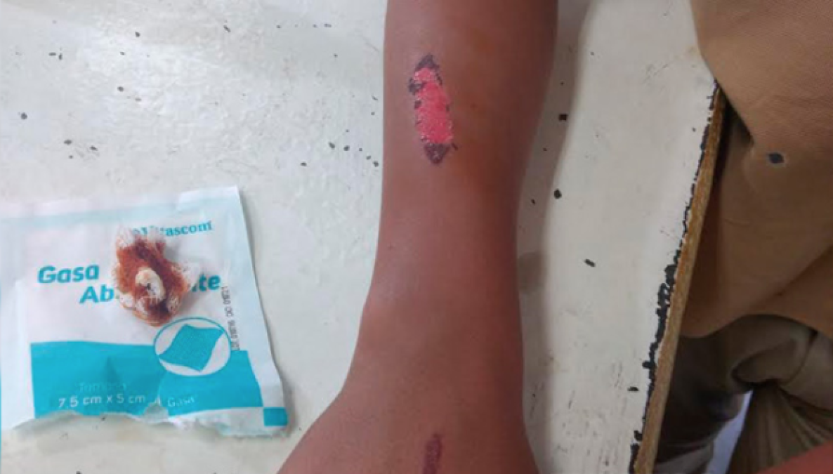 DIF advierte a victorenses sobre el “abecedario del diablo”