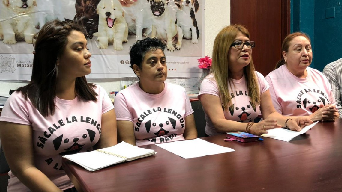 Municipio iniciará campaña de vacunación contra la rabia