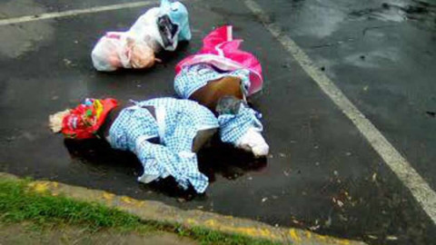 Perros son torturados y ejecutados en Coyoacán 