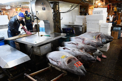 México pierde fallo en OMC por reglas de mercado de EU sobre atún