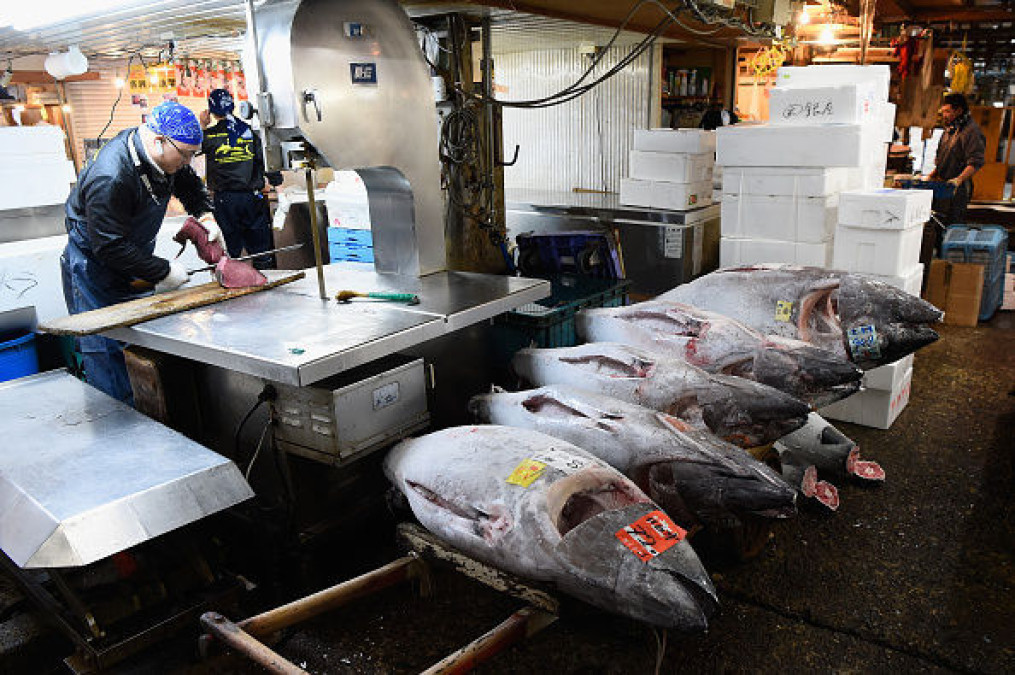 México pierde fallo en OMC por reglas de mercado de EU sobre atún