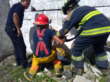 Cocodrilo causa pánico en secundaria de Madero