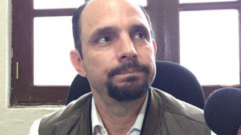 Investiga control ambiental muerte de delfín