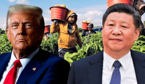 China acusa a EU de “proteccionismo rampante” por aranceles agrícolas