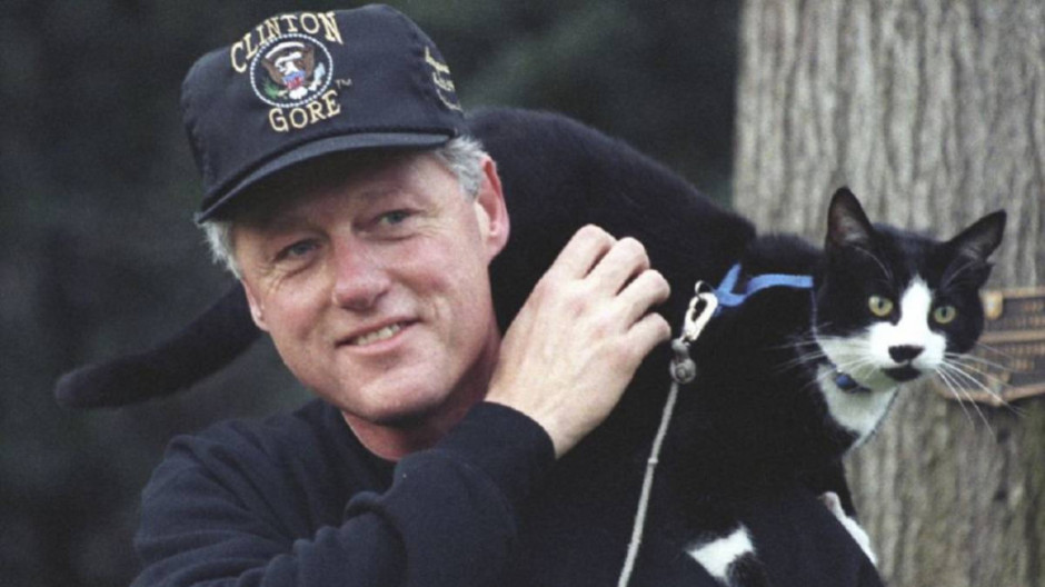 Socks Clinton, el gato responsable del Dia Internacional del Gato este 20 de febrero