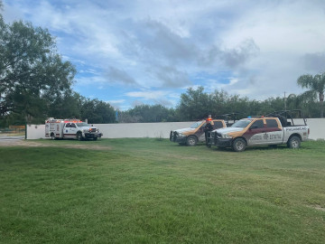 Activan operativo para buscar a tigre que escapó de Quinta