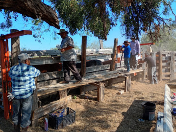 Continúa la campaña gratuita de Ivermectina en Apoyo al Sector Ganadero