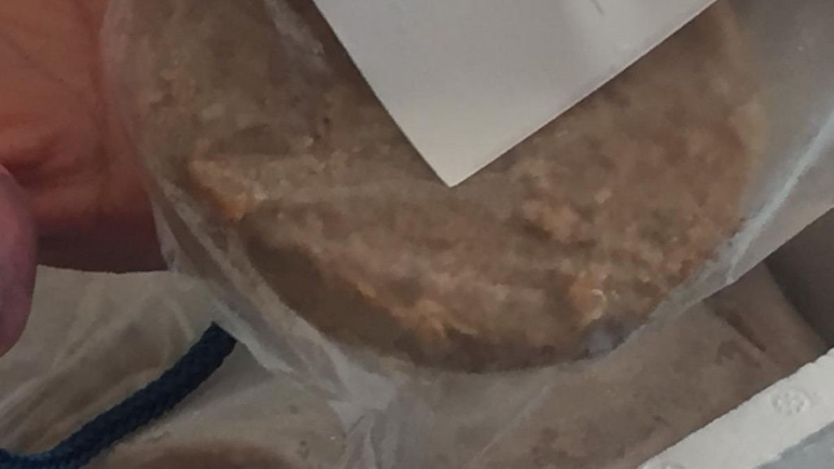 Avanza programa piloto de alimentación en Altamira