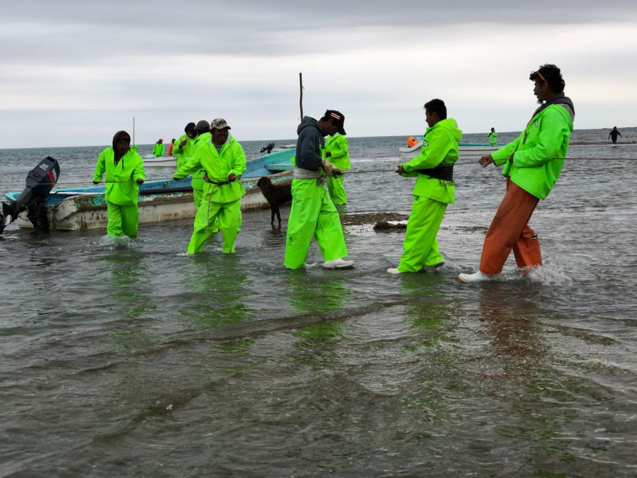 Intensifican la búsqueda de pescadores perdidos en alta mar