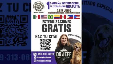 Primera campaña internacional de esterilización gratuita en Reynosa