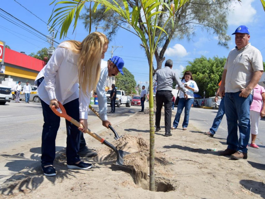 Fomenta Gobierno de Altamira cuidado y preservación del medio ambiente