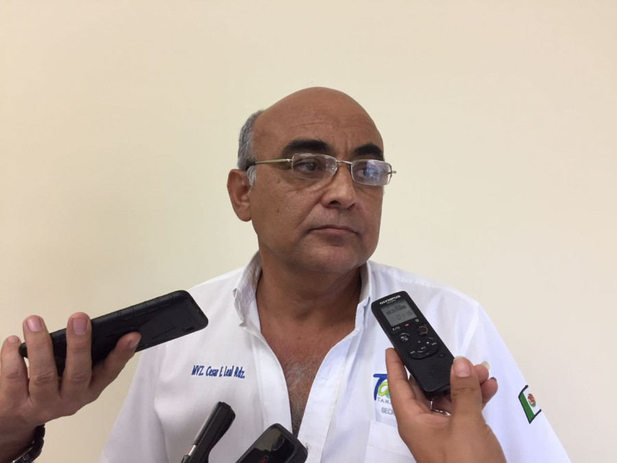 Sube cifra de personas mordidas por perros 