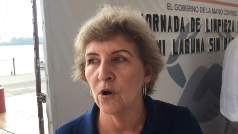 Lamentó The Ocean Conservancy que se siga afectando costas tamaulipecos