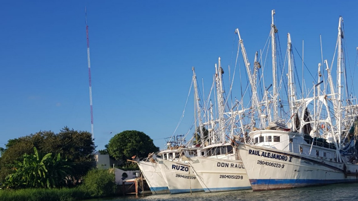 Desfilarán barcos camaroneros por playa de Miramar