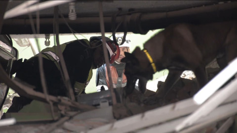 Asciende cifra de muertos por sismo a 295